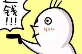 宿豫债务清欠服务